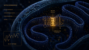 The Science Behind NAD+ Research